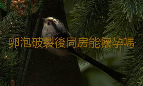 卵泡破裂後同房能懷孕嗎